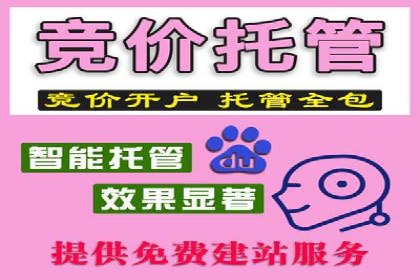 百度推广策略优化：实战案例分享